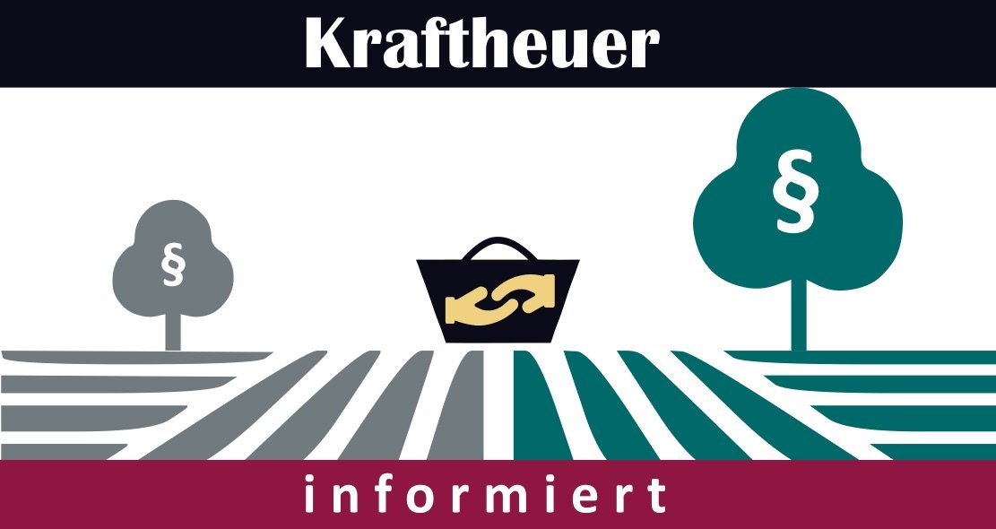 Entscheidungen des Verfassungsgerichtshofs 2026